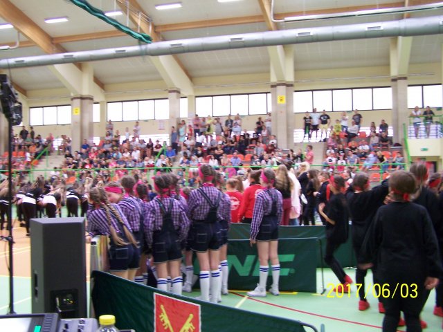 fest 56